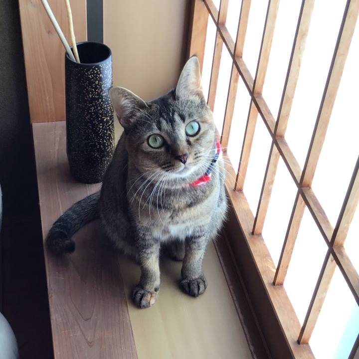 8ef0b004 508a 4c36 9782 2b1556b845d1 1605573640000