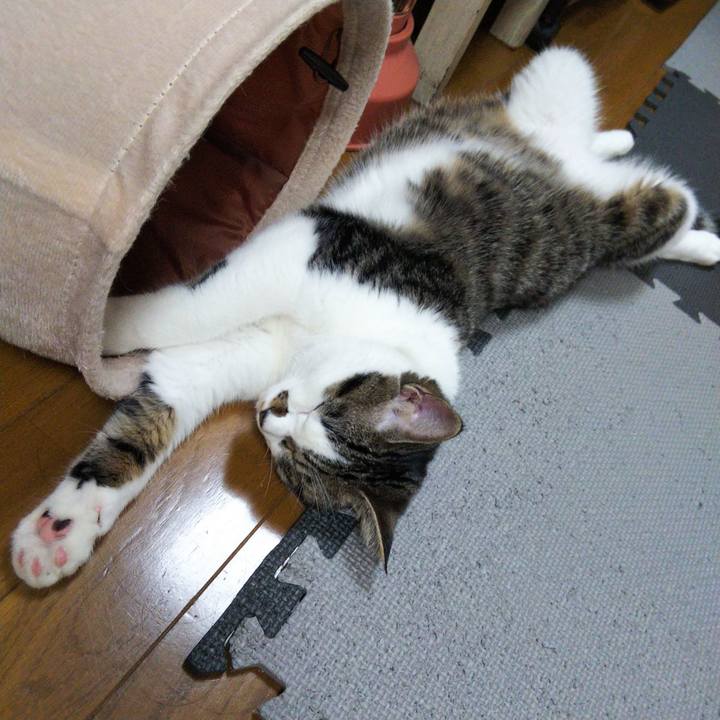 8ef0e5d6 1950 48e0 9c44 14851e975200 1622382220045