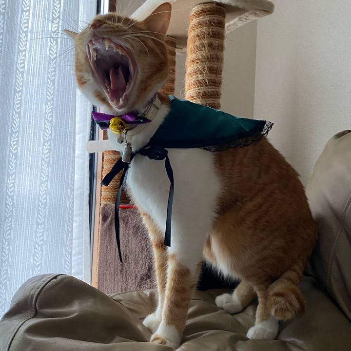 8ef104d7 d6c9 42ff aec0 578d95417913 1635681573928