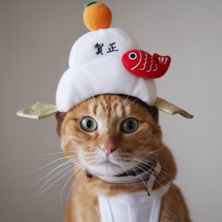 8ef16151 0c1e 4118 bf16 c2a07baee415 1735716216845