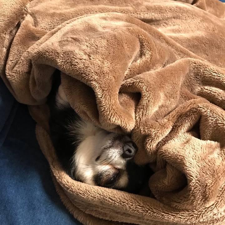 8ef169bd 0bbb 4b6e 93e1 e414a228f660 1572525254072