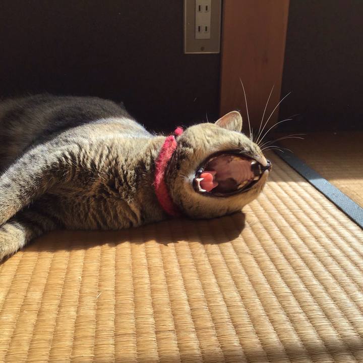 8ef17958 2f7c 447b 8ec2 9843fd526fee 1600477564333