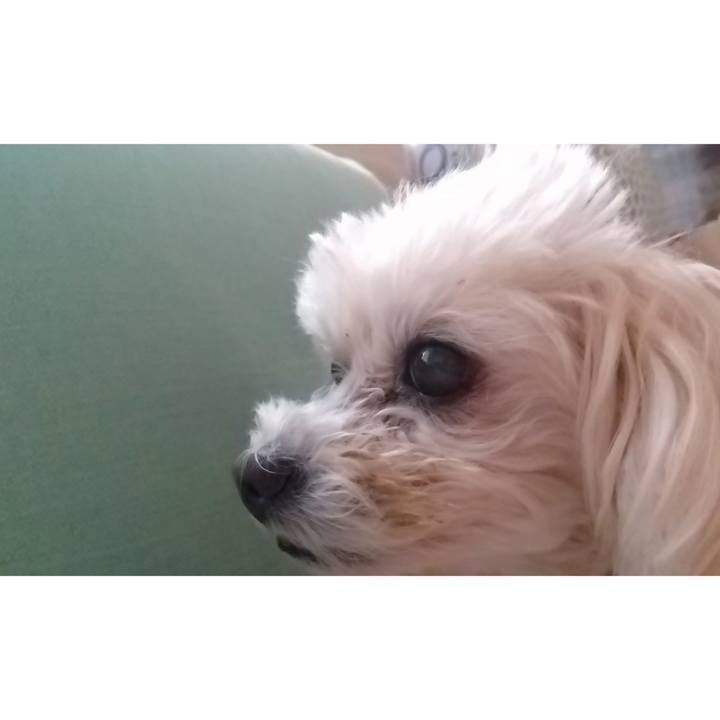 8ef1945e a4fb 4134 9965 af05d9d0a63d 1678490829365