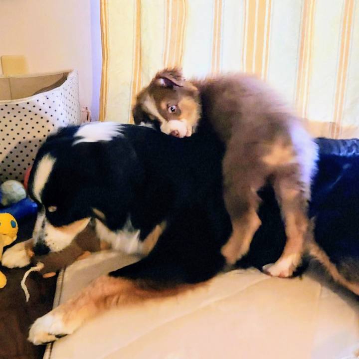 8ef1ca84 766c 48cc b09a 58fb77c30e04 1759835524559