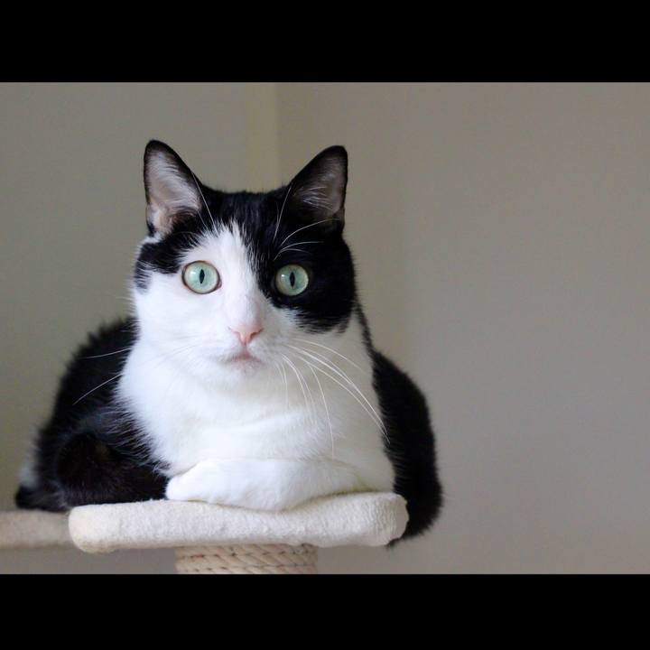 8ef1f38f 4bf4 45ad 9ee7 1890e50bd907 1689373790137