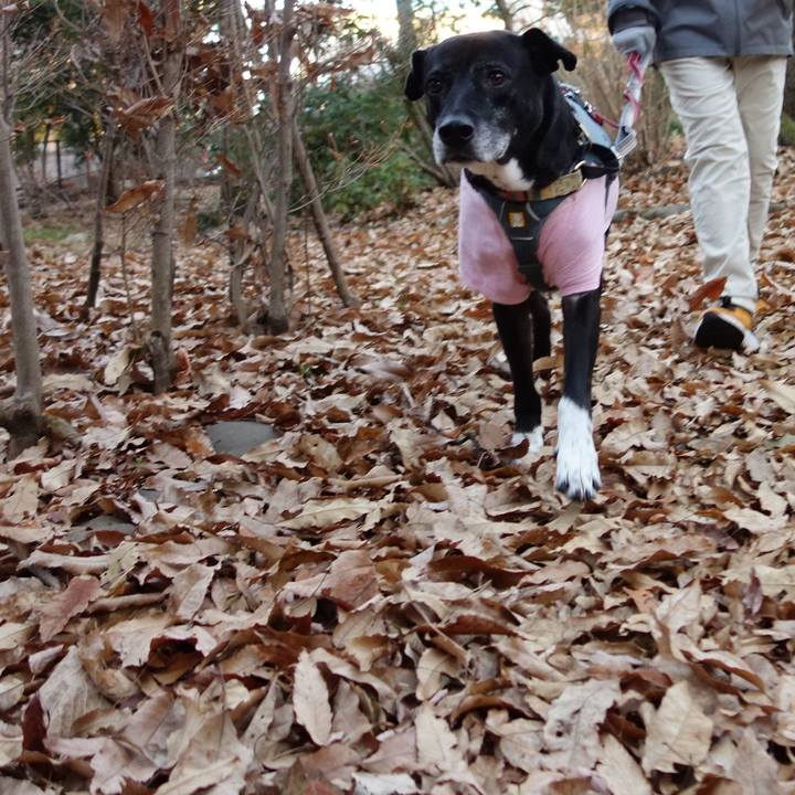 8ef20069 710d 4f21 bbbe 187a90507796 1735949110276