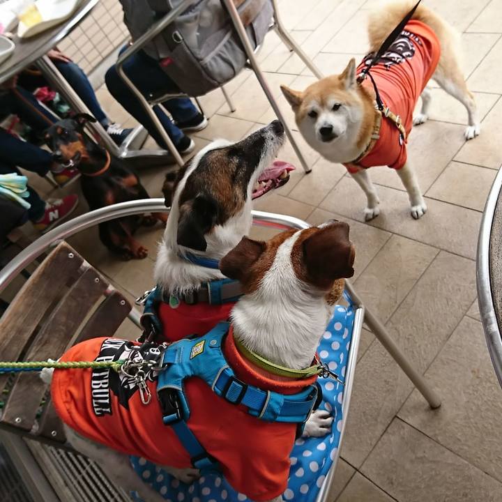 8ef2454b 2609 43b5 aa4d 80679f88da6c 1590473543277