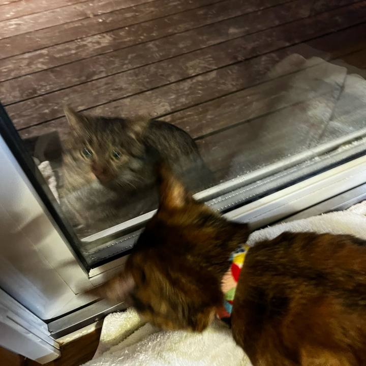 8ef26084 28c5 4465 bafa c01e8082c7f6 1735161745625