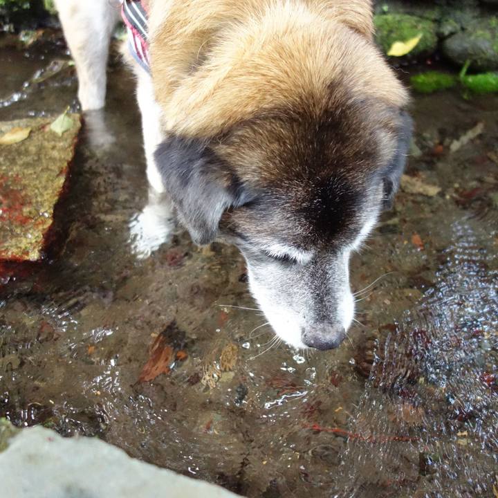 8ef264f2 d9ef 467a 8197 a85f30895f46 1642209315977