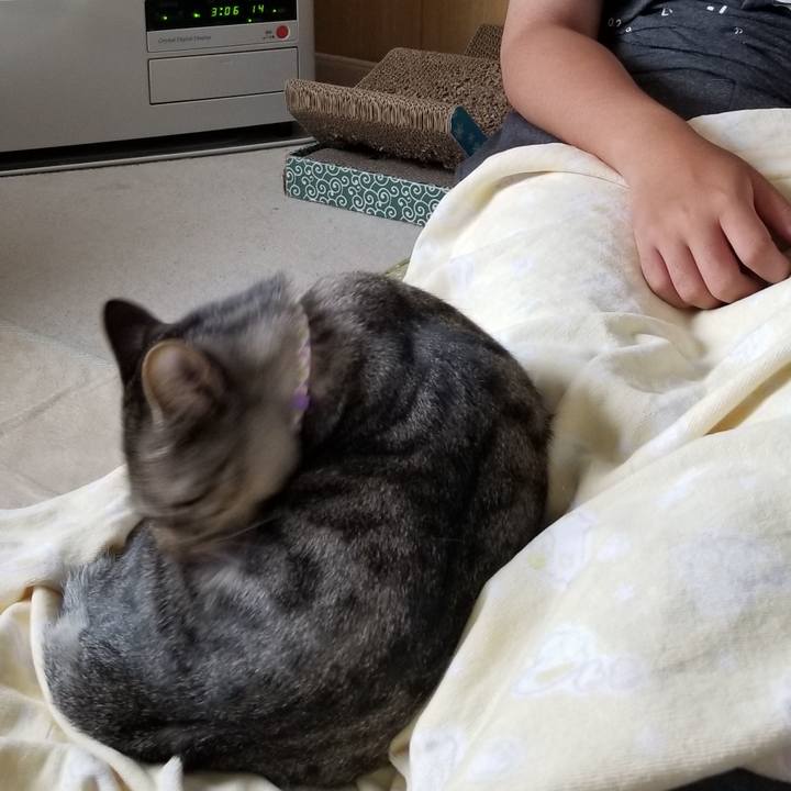 8ef2ab8c c12f 474b 8a09 0a9e56374adb 1688222207863