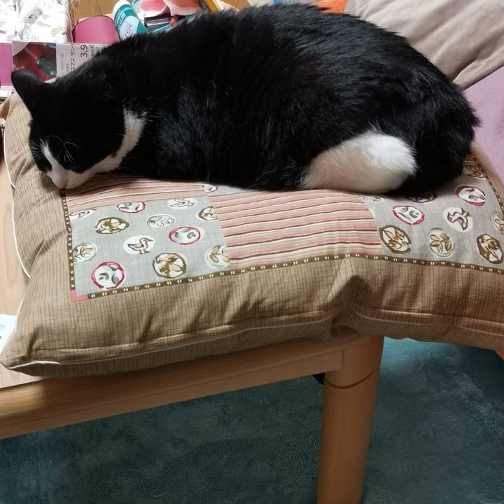 8ef30883 e2fa 4439 bcf5 759672219616 1697169392115