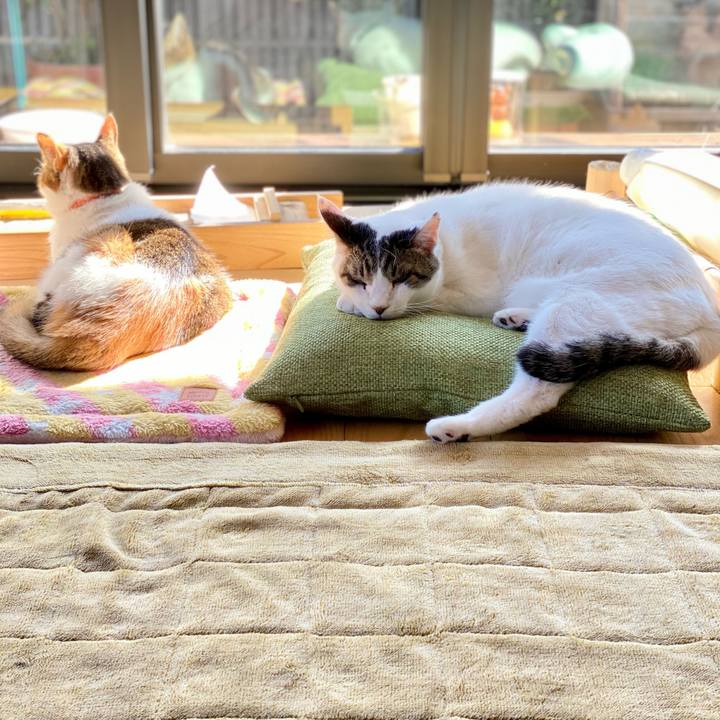 8ef31629 260f 4604 92b5 062df352fc4f 1668825968888