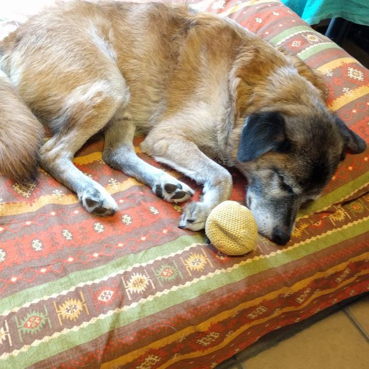 8ef31d17 bc53 4300 b6bf 32adde4a02b8 1535781025406