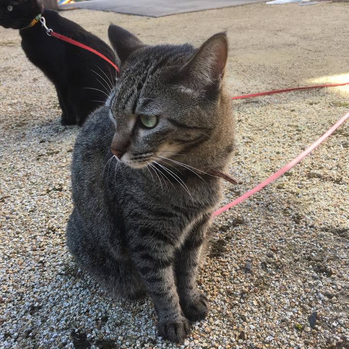 8ef32f0c f824 44a5 a18e bd03e3428773 1510045758998