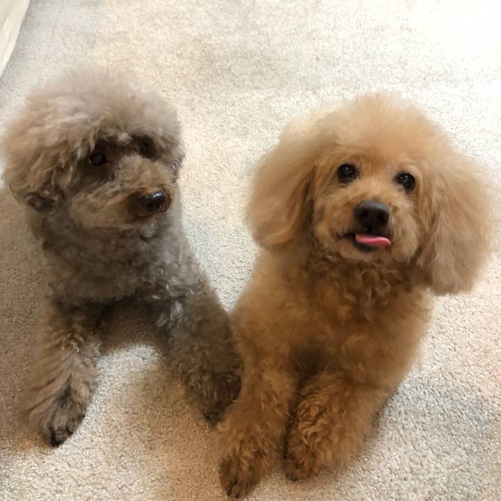 8ef3474a 0830 48ec b028 13eff239a8f5 1558837770186