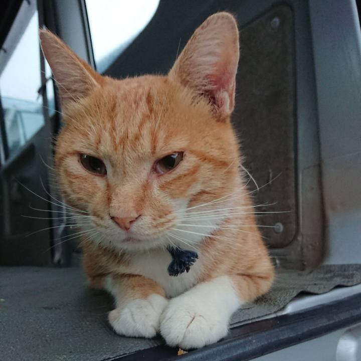 8ef35fa1 619c 42b8 918c c079b07d745f 1567542748162