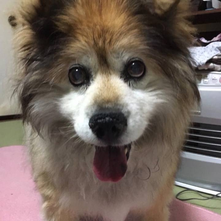 8ef38cc9 d8ec 4cb3 9e25 fda6344c3c5b 1664204868999