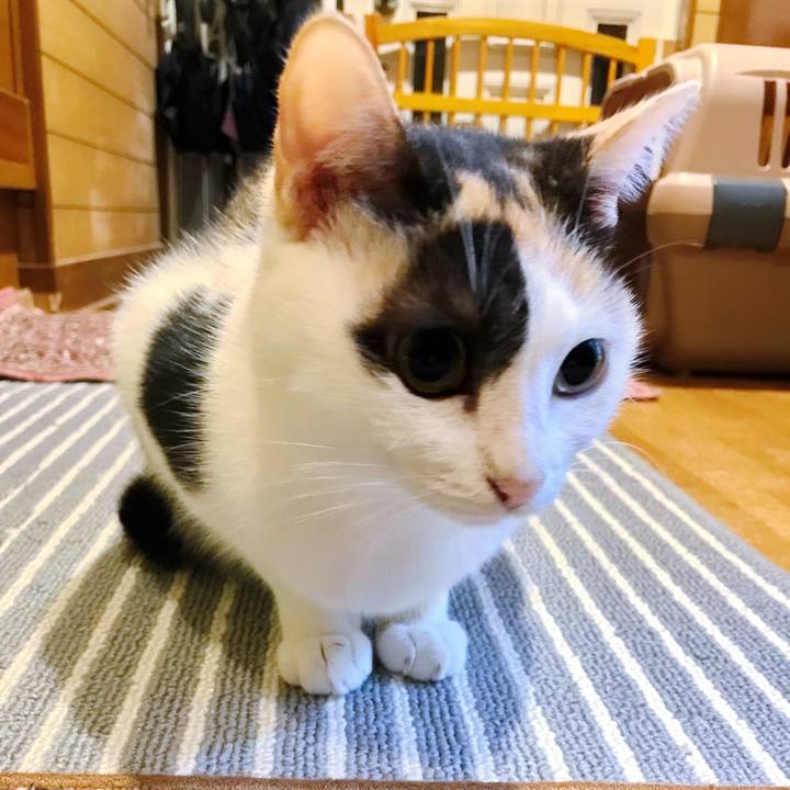 8ef38cd0 02dc 4b30 8cbb 2a5288ab21c4 1508896002719