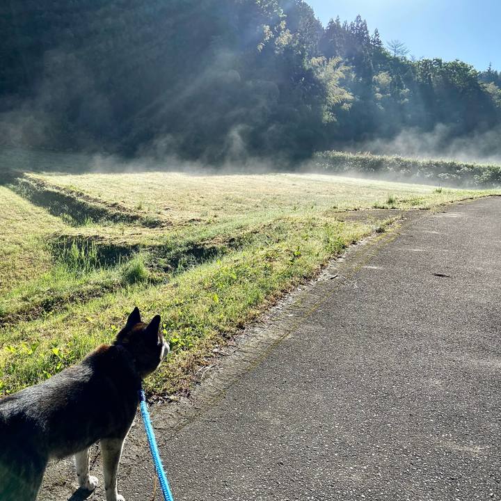 8ef3a1c1 094b 4a06 849f 310401f41408 1715639064441