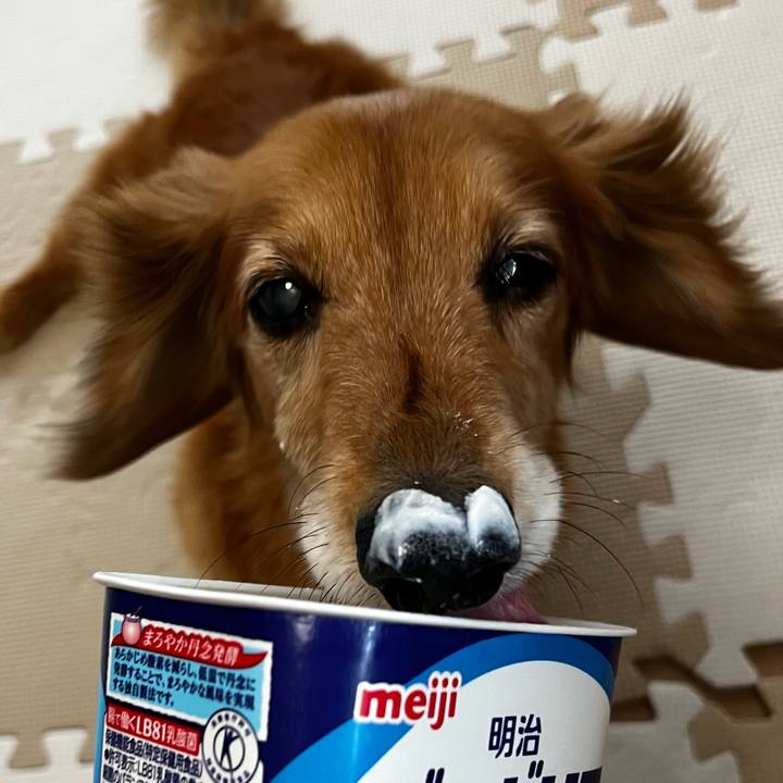 8ef3dce3 980c 4232 a038 b3c67b03b104 1661001381954