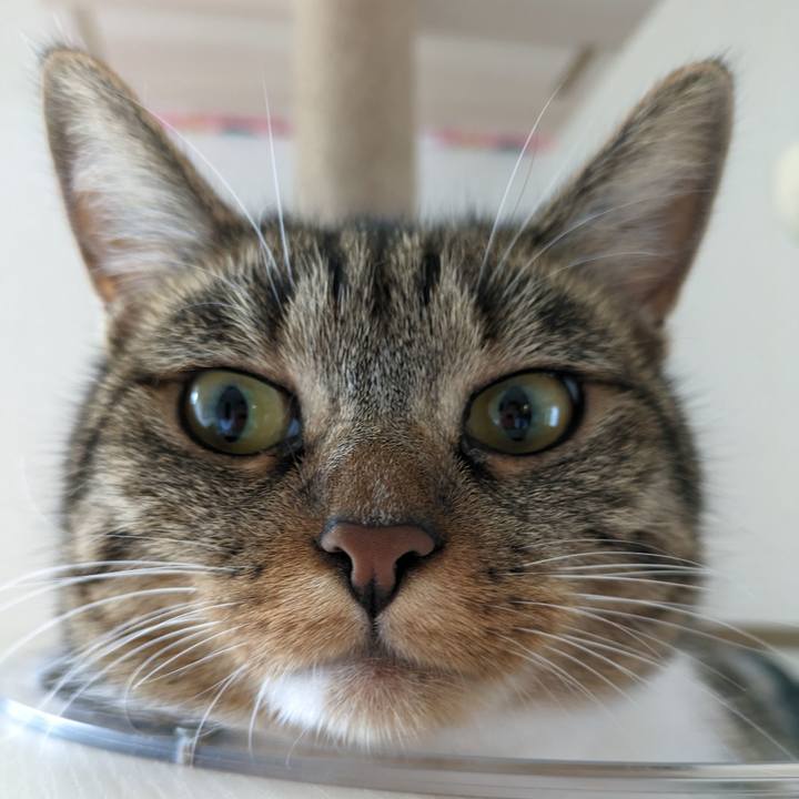 8ef3de17 987f 480c 8340 e8964f34ff0a 1692484049166