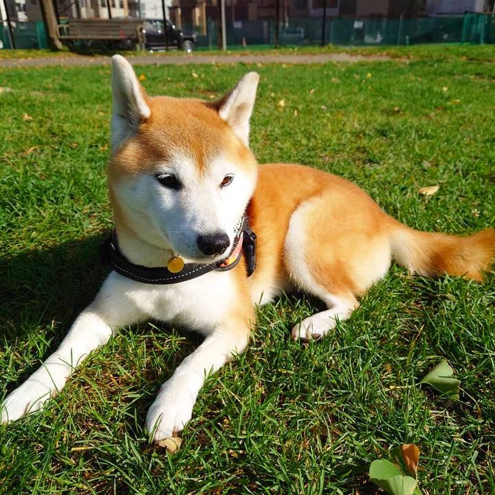 8ef41933 c975 432d 8def fc1f90388df3 1634351907496