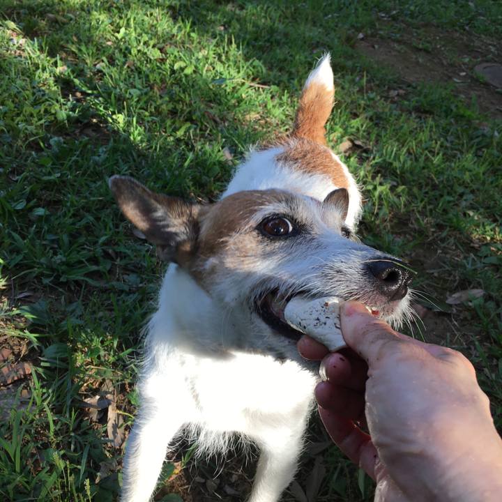 8ef423f4 4502 47ee 9b8c 324617d03793 1658877678183