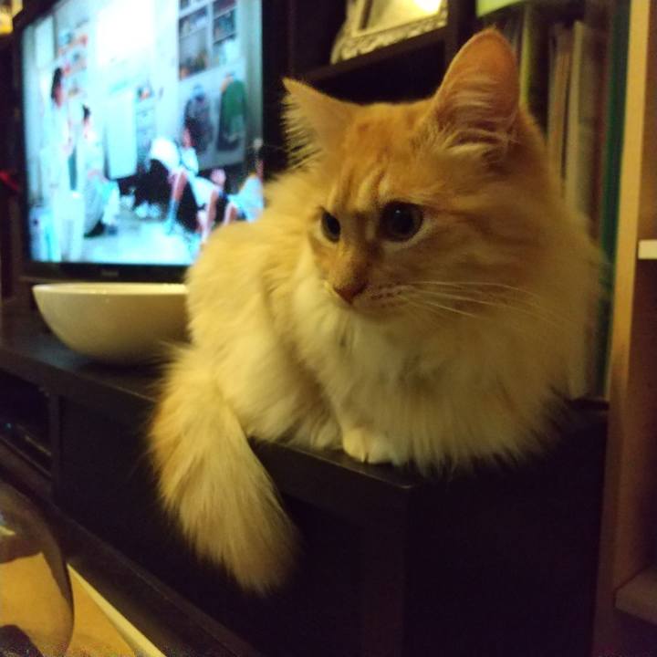 8ef42a9b 11ee 45fe abd2 4ad3ff8ed65e 1650023219361