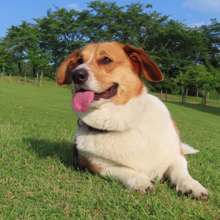 8ef45adf 27eb 4767 8a0e 63d1db865ddb 1654042266965