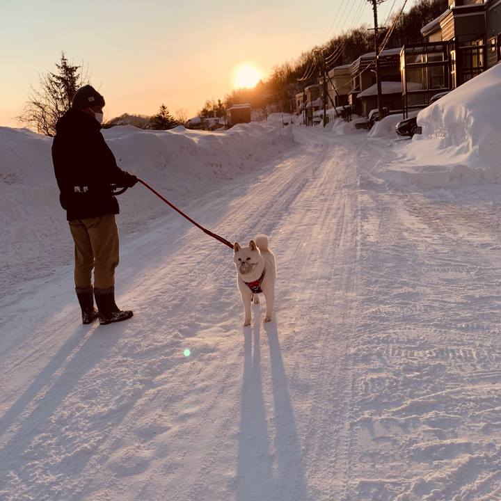 8ef47edd 08cd 45d6 83be 5a083b78b95d 1676931329877