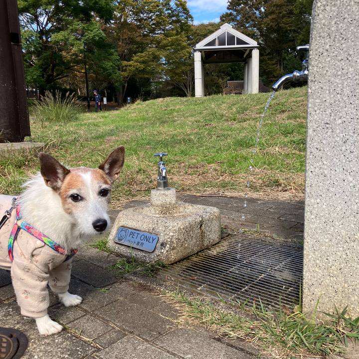 8ef485b1 4b7e 455e 8e64 3e35d4175d09 1731454087307