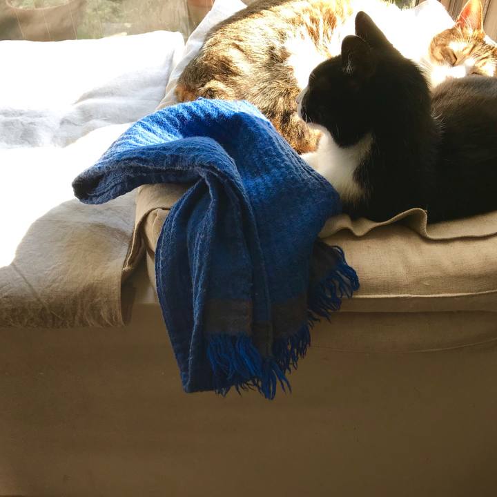 8ef4954a 18ab 47ea a38c c1e3ced5b835 1552627946576