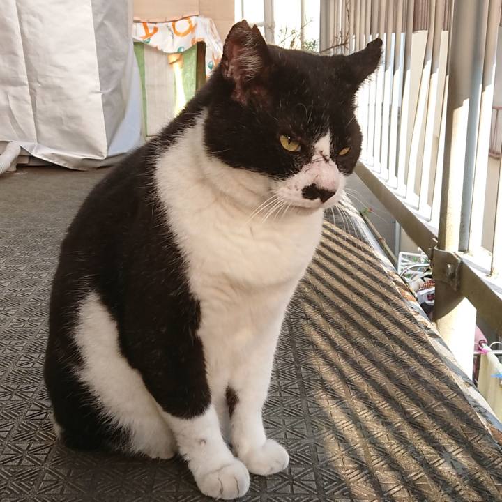 8ef4a482 cfd5 45b0 8a5c 195c79309f2f 1598326586112