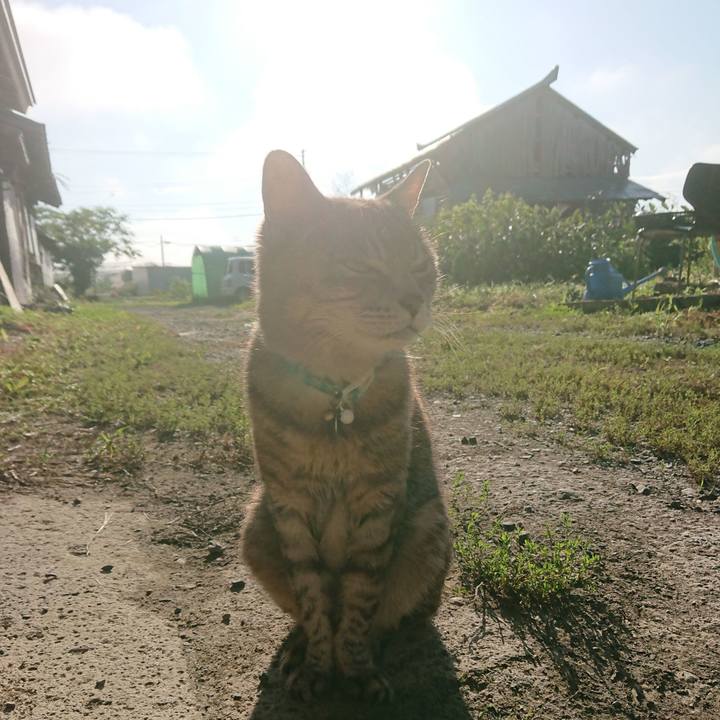 8ef5031a c380 41ec 828d 3988197cde73 1599509276199