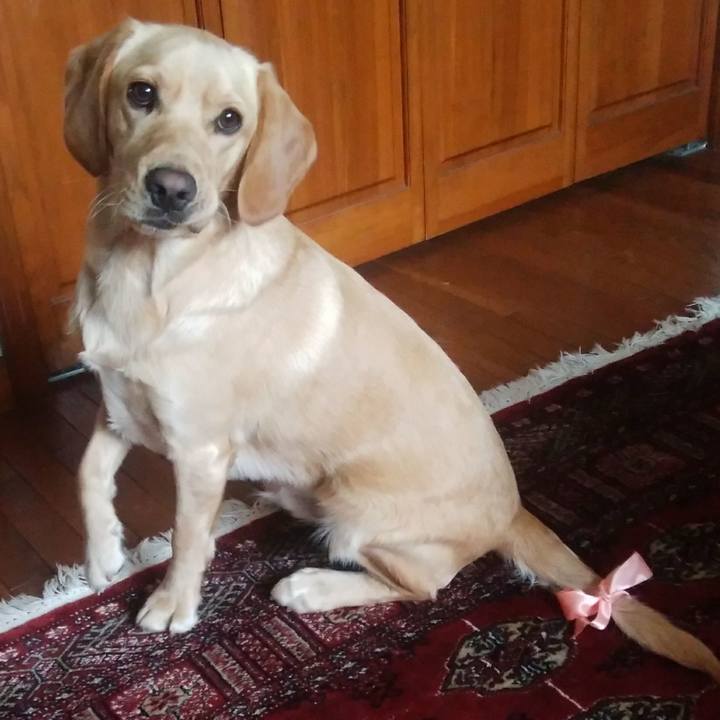 8ef50495 ac8f 4db3 a9f6 895d6bb7feb4 1515193614280