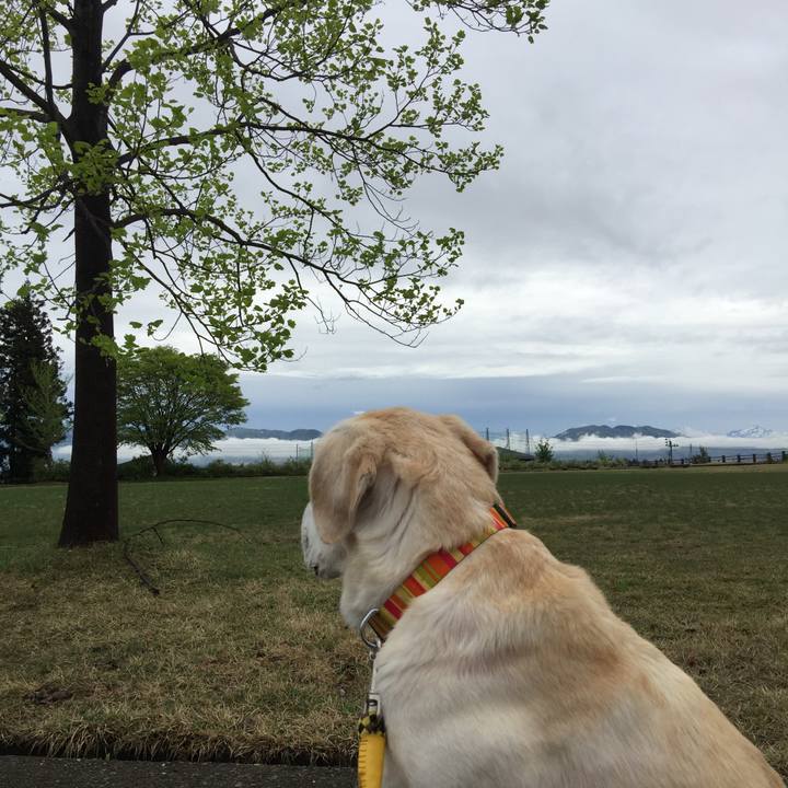 8ef50b16 1c65 4b9d 99e7 ec318a9e9a7f 1524621647104