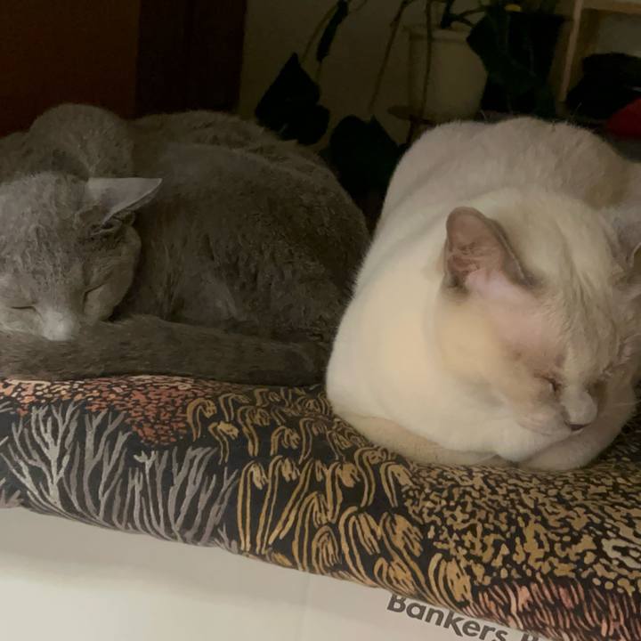 8ef559b8 6c94 40f8 879d f2c08c5b5867 1738321095278