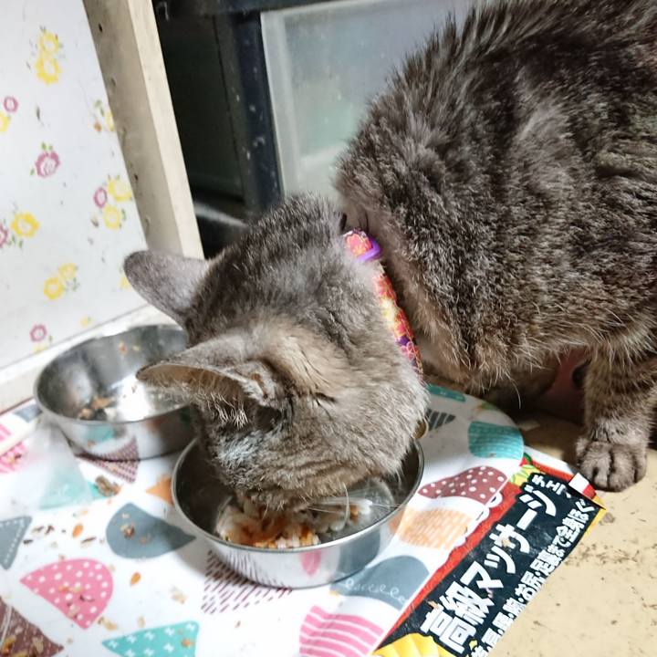 8ef59c9d a9eb 480a 8474 a9c3677bdb2d 1588450328192