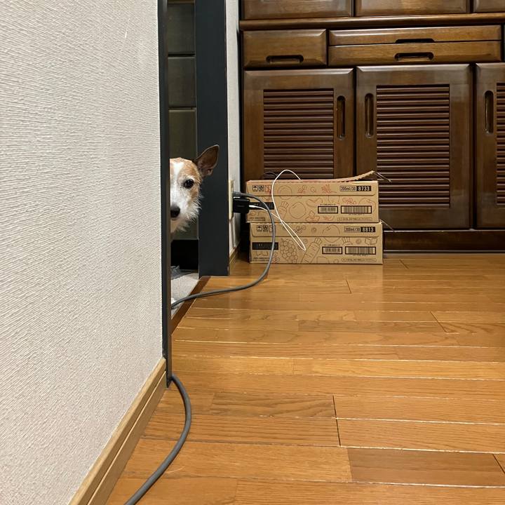 8ef5b838 0b14 4011 bfd9 5614d8cfd825 1728343649877