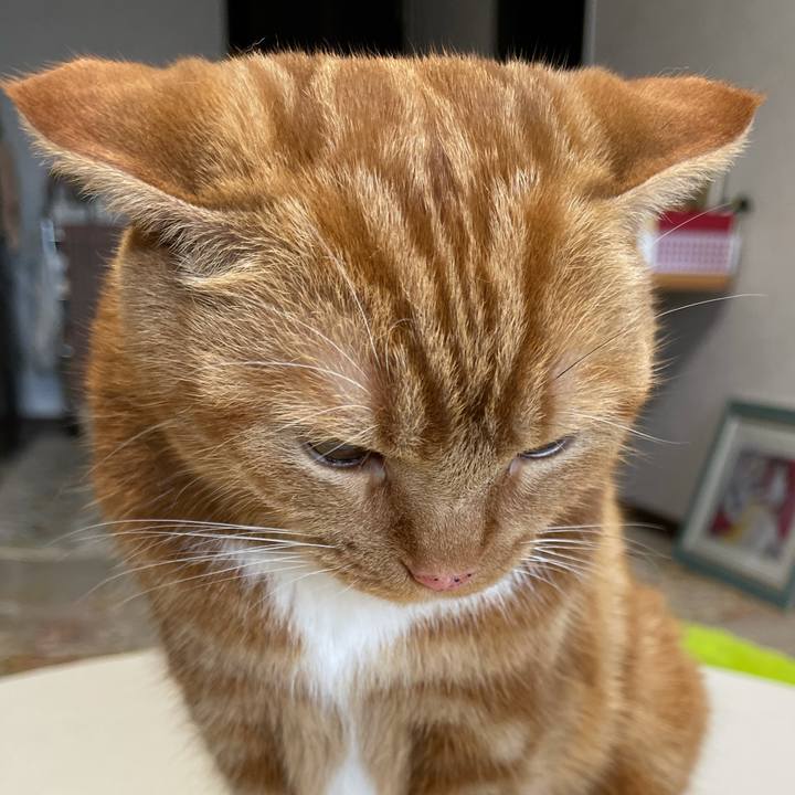 8ef5d570 72c1 4374 9891 1fa5f2775e92 1625300921674