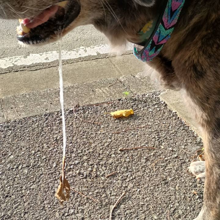 8ef5dcd9 a1ce 4bf1 801c 2582f2229485 1764515341615