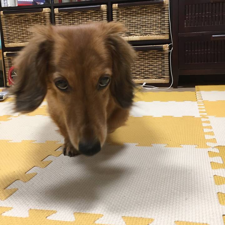 8ef5ff23 38a2 490c 9d0a d36293e32f15 1529761622865