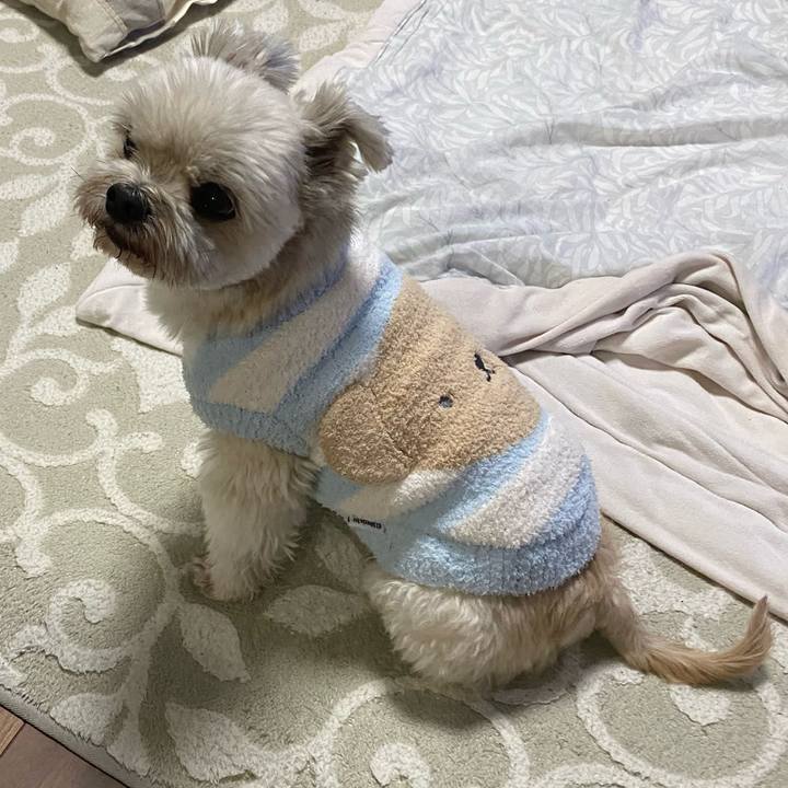 8ef65584 d94a 4058 9a96 2a5ad508dacb 1734174321217