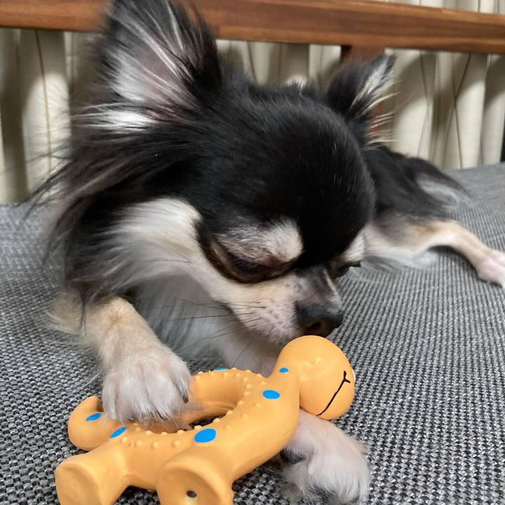 8ef6bf60 c9b9 46bf b50f e0b048a3a1ec 1637673594996