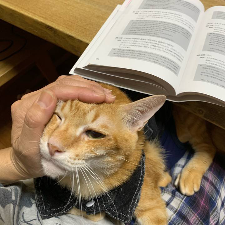 8ef72e39 30be 4b9a ad20 85c94d34032e 1625175807967