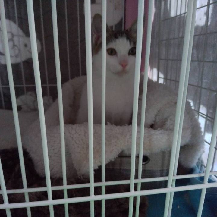 8ef75502 3a53 484a 95aa 47c11ca85512 1639396180956