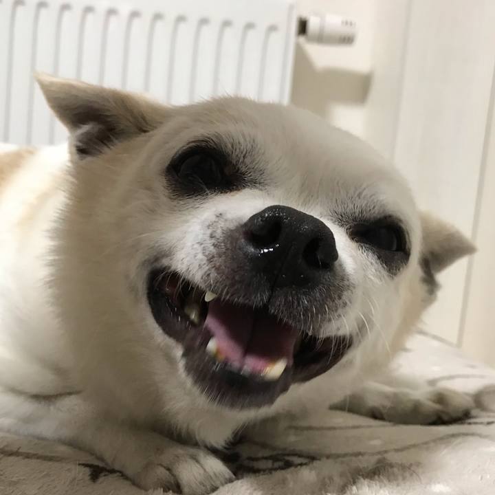 8ef79b69 56a6 4175 b35e 2cffe4844f49 1661834061517