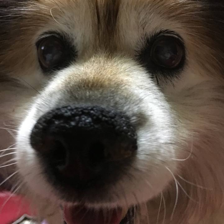 8ef7dbb6 9f8a 4c80 848b 5e7ace61130d 1582591352270