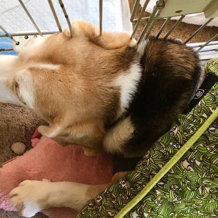 8ef7e875 f795 4377 b285 9e800c84b7d7 1570160481000