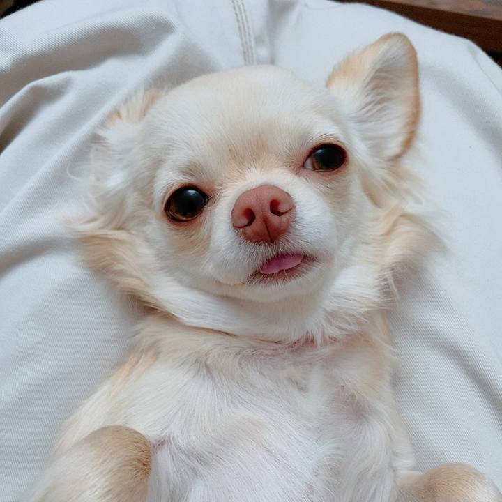 8ef7ed1b 9edc 4ffd 976b 754b654d9cd0 1613882021757